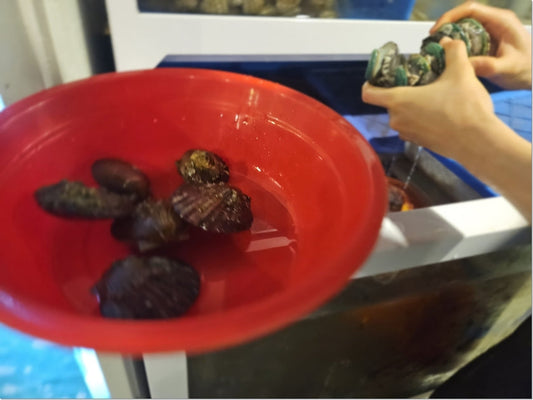 부평 맛집 분위기 좋은 곳 후기